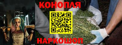 спайс Славгород