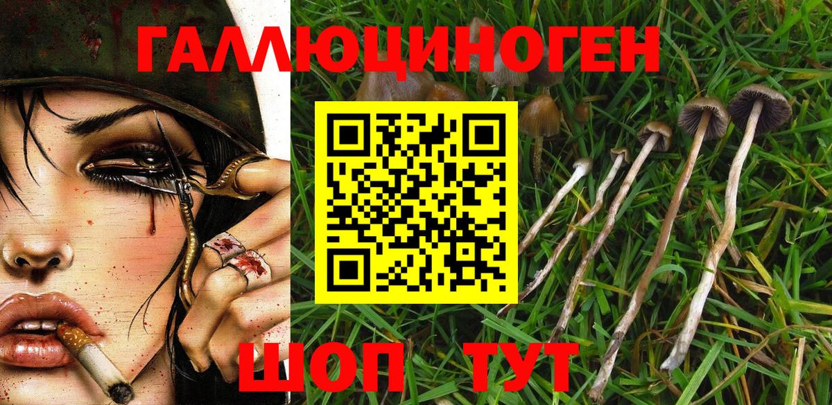 Галлюциногенные грибы MAGIC MUSHROOMS Тюмень