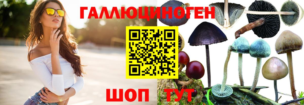 Галлюциногенные грибы GOLDEN TEACHER  Вход с VPN  Тюмень 